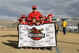 Image result for Sidewinders Baseball Club