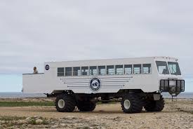 Image result for tundra buggy