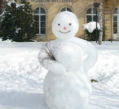 Image result for Schneemann