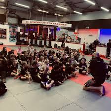 Image result for Martial Art Centre of Excellence
