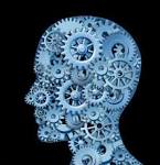 <b>Brain</b>