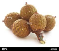 Attēlu rezultāti vaicājumam “Acorus calamus fruit”