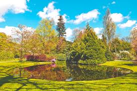 Image result for Arboretum Trompenburg