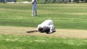 Image result for Rylands Cc