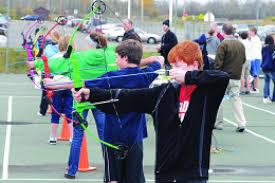 Image result for Blue Arrows Archery Club