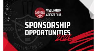 Image result for North Petherton Cricket Club