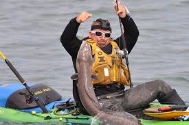 Image result for British Conger Club