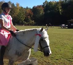 Image result for Woodhill Riding Club