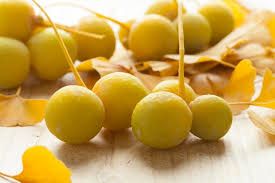 Attēlu rezultāti vaicājumam “Ginkgo biloba fruit”