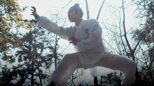 Image result for TRIANGLE CHANGQUAN FLYING DRAGON