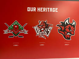 Image result for Cardiff Devils