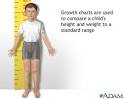 Height/weight chart