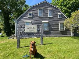 Image result for Harlow Scrabble Club - Moot House