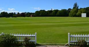 Image result for Peper Harow Cricket Club