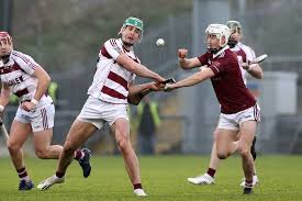 Image result for Mcquillan Gac