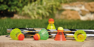 Image result for Optimum Speedminton Club