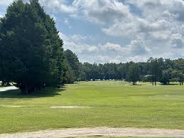 Image result for Cedars Badminton Club