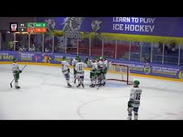 Image result for Basingstoke Bison Ice Hockey Club