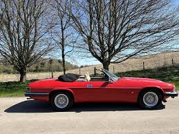 Image result for Flamenco 1993 Jaguar