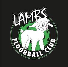 Image result for Berkshire Bantams Floorball Club