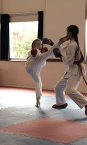 Image result for Bristol Karate Club