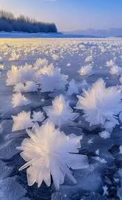 Attēlu rezultāti vaicājumam “Frost Flowers”