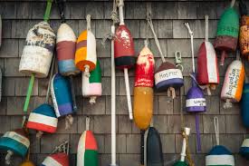 Image result for York University Surf Club