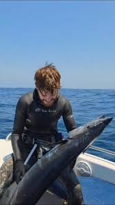 Image result for Rhabdosargus holubi