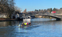 Image result for Island Bohemian Bowls Club