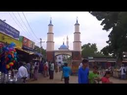 Image result for Erwadi