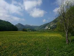 Image result for vallorbe tehron