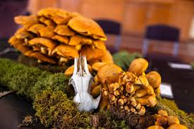 Image result for Strathbogie Rambling Club