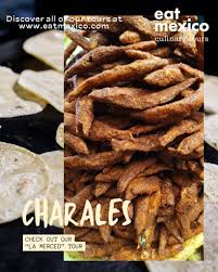 Attēlu rezultāti vaicājumam “Charales”