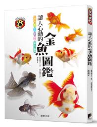 Image result for 金魚