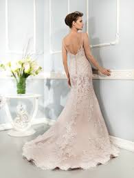 Image result for cosmobella