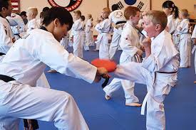 Image result for Kidderminster Tae Kwon Do Tigers