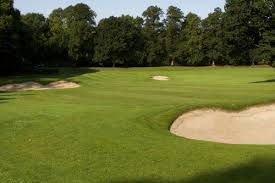 Image result for Chester-Le-Street Golf Club Ltd