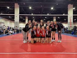Image result for Newmarket Volleyball Club