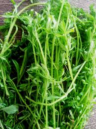 Attēlu rezultāti vaicājumam “Galium aparine leaf”