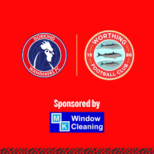 Image result for Dorking Wanderers F C