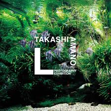 Znalezione obrazy dla zapytania takashi amano%