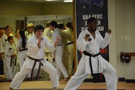 Image result for Broadwell Karate Club