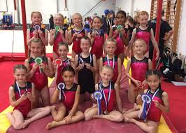 Image result for Farnham Gymnastics Club