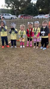 Image result for Phoenix Old Boys Football Club