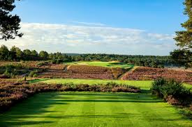 Image result for Hankley Common Golf Club