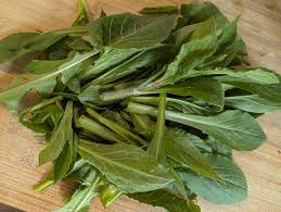 Attēlu rezultāti vaicājumam “Silene dioica leaf”