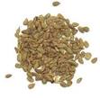 Cook's Thesaurus: Global Spices