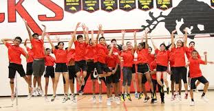 Image result for Ferndown Sports Badminton Club