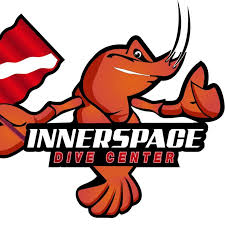 Image result for innerspace divers
