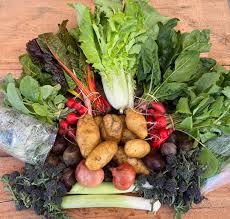 Image result for Chard Scrabble Club